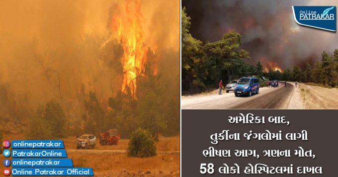 અમેરિકા બાદ, તુર્કીના જંગલોમાં લાગી ભીષણ આગ, ત્રણના મોત, 58 લોકો હોસ્પિટલમાં દાખલ