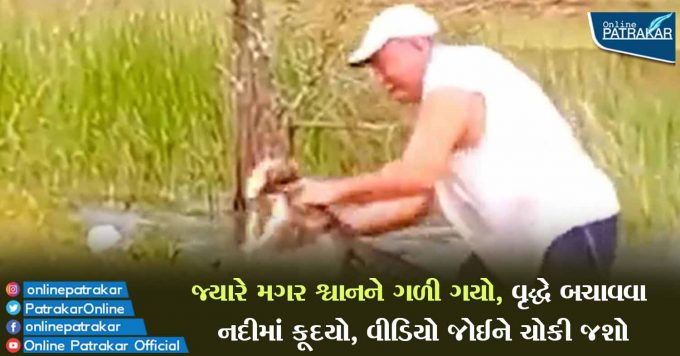 જ્યારે મગર શ્વાનને ગળી ગયો, વૃદ્ધે બચાવવા નદીમાં કૂદયો, વીડિયો જોઈને ચોકી જશો