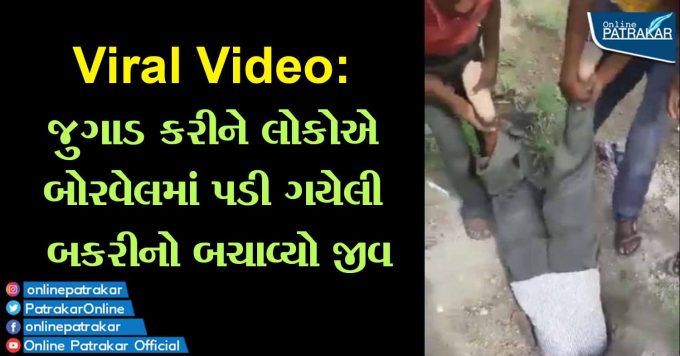 Viral Video: જુગાડ કરીને લોકોએ બોરવેલમાં પડી ગયેલી બકરીનો બચાવ્યો જીવ