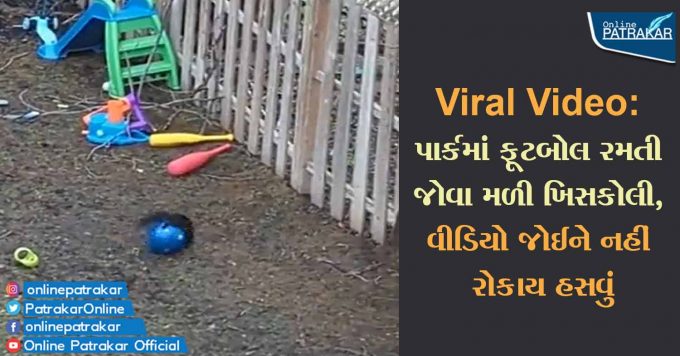 Viral Video: પાર્કમાં ફૂટબોલ રમતી જોવા મળી ખિસકોલી, વીડિયો જોઈને નહીં રોકાય હસવું